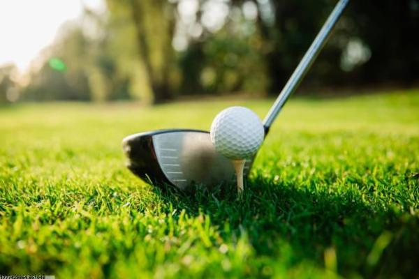 沈阳体育培训市场发展趋势分析(图1)